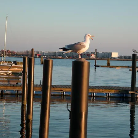 Kaddis Sunshine - Stern Hausboot *